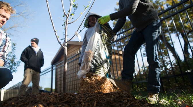 Play in the dirt: Volunteer at Sprout