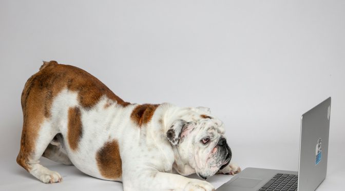 Peer Mentor/Academic Consultant (PMAC) Information Sessions