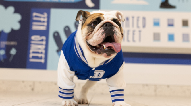 Save the Date: Drake’s 14th Annual All In 24-Hour Giving Challenge Returns April 7–8